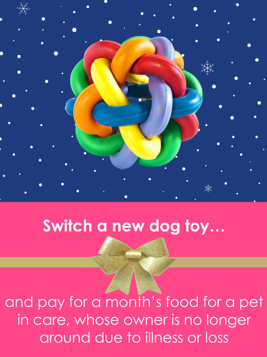 Virtual Dog Toy